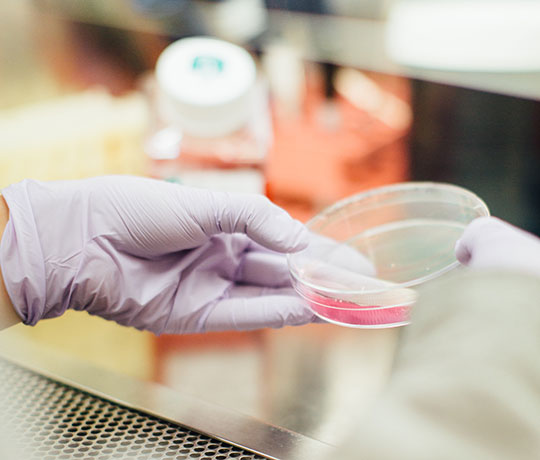 florahealthandlifestyle